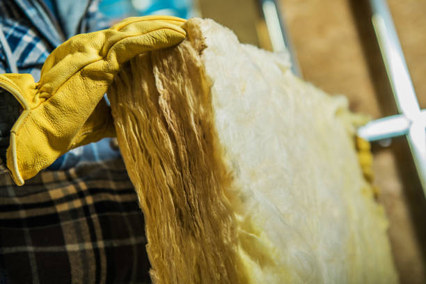 Best Cellulose Insulation in Stacy, MN