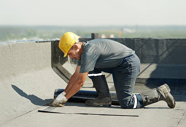 Best Eco-Friendly Insulation in Stacy, MN